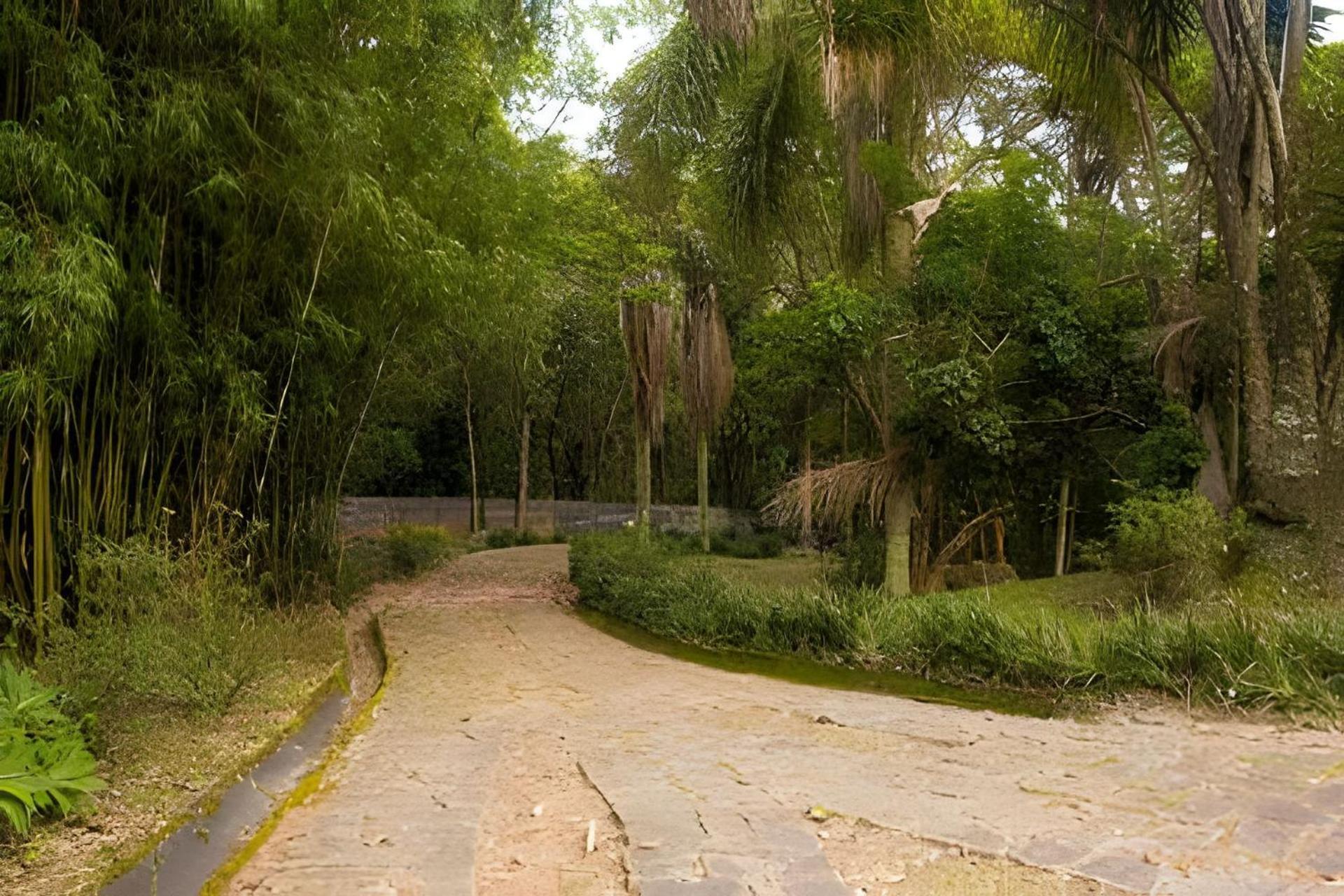 Sitio Em Sao Roque, Paraiso Ao Lado De Sao Paulo!别墅 外观 照片