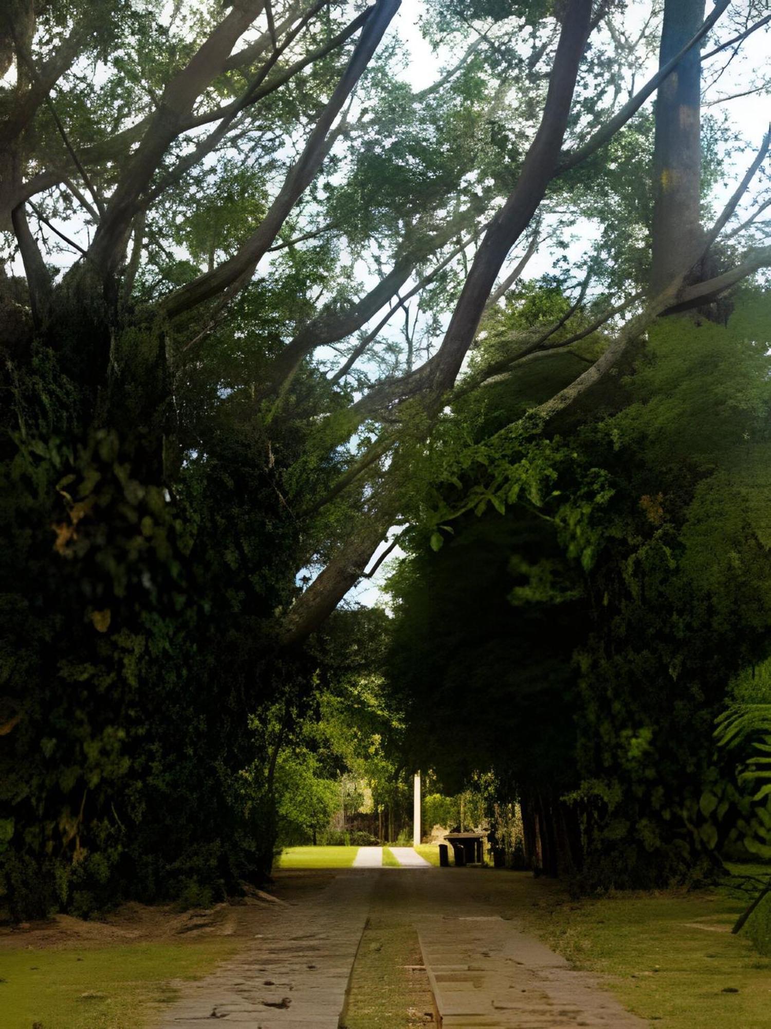 Sitio Em Sao Roque, Paraiso Ao Lado De Sao Paulo!别墅 外观 照片