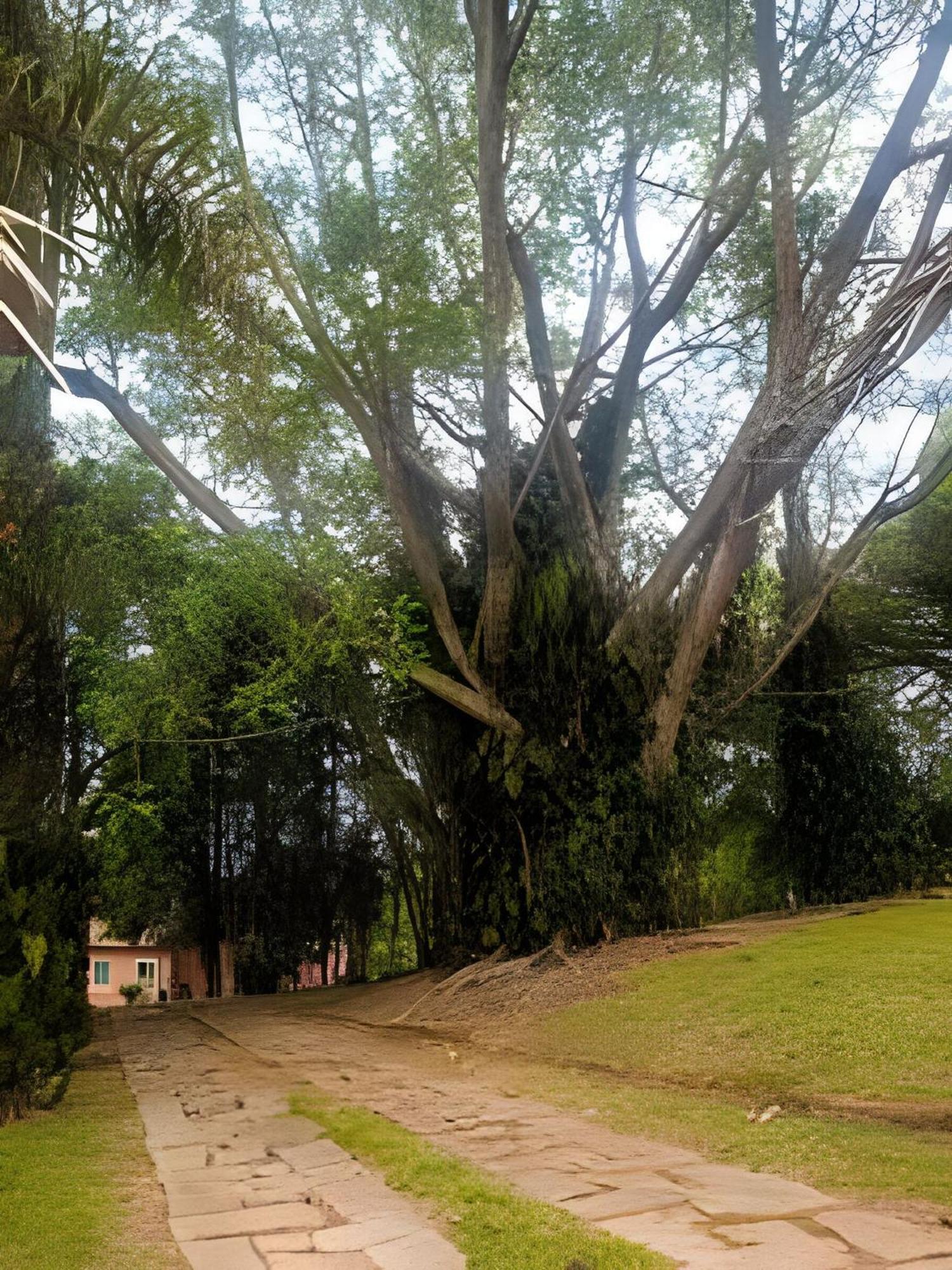 Sitio Em Sao Roque, Paraiso Ao Lado De Sao Paulo!别墅 外观 照片